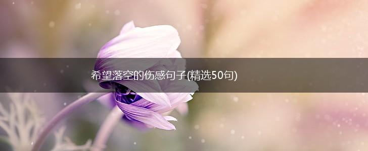 希望落空的伤感句子(精选50句),第1张