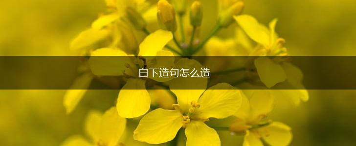 白下造句怎么造,第1张