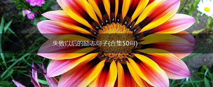 失败以后的励志句子(合集50句),第1张