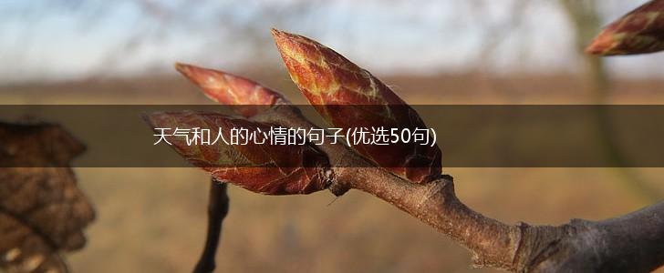 天气和人的心情的句子(优选50句),第1张