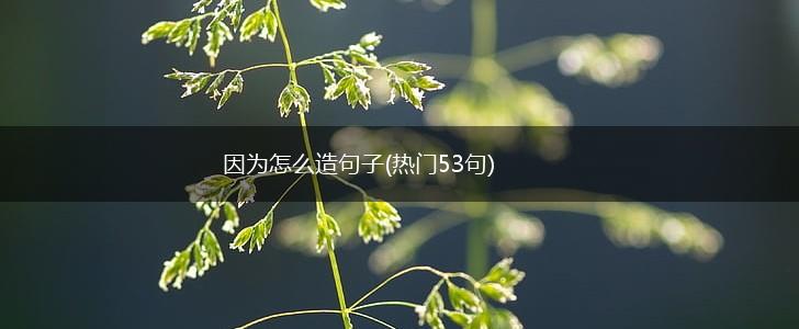 因为怎么造句子(热门53句),第1张