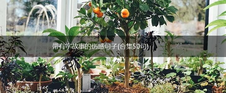带有字故事的伤感句子(合集50句),第1张