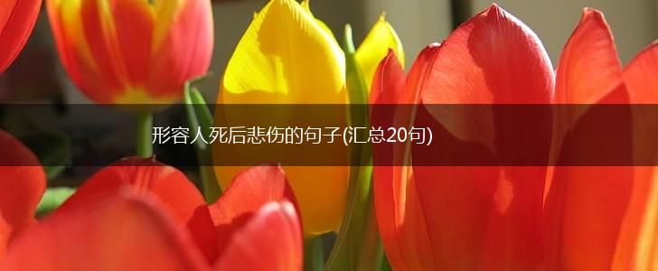 形容人死后悲伤的句子(汇总20句),第1张