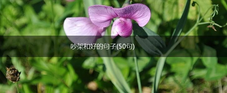 吵架和好的句子(50句),第1张