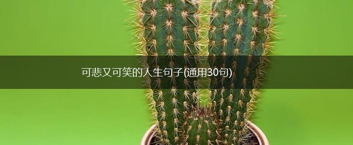 可悲又可笑的人生句子(通用30句),第1张