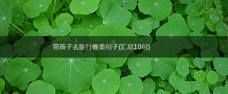 带孩子去旅行唯美句子(汇总10句),第1张