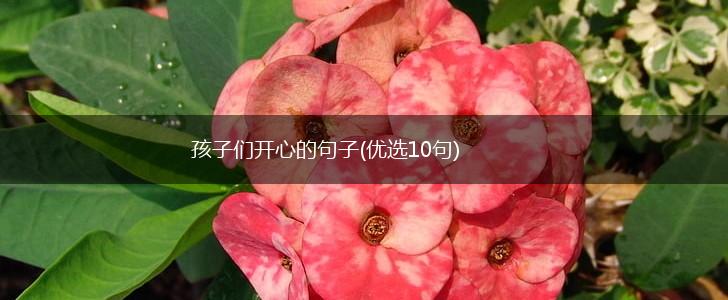 孩子们开心的句子(优选10句),第1张