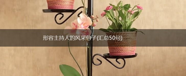 形容主持人的风采句子(汇总50句),第1张