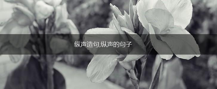 纵声造句,纵声的句子,第1张