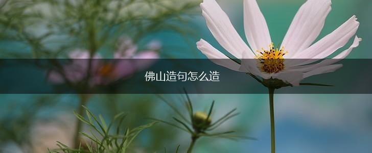 佛山造句怎么造,第1张