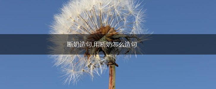断奶造句,用断奶怎么造句,第1张