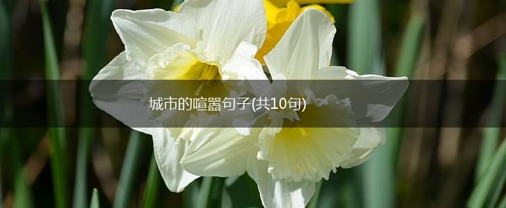 城市的喧嚣句子(共10句),第1张