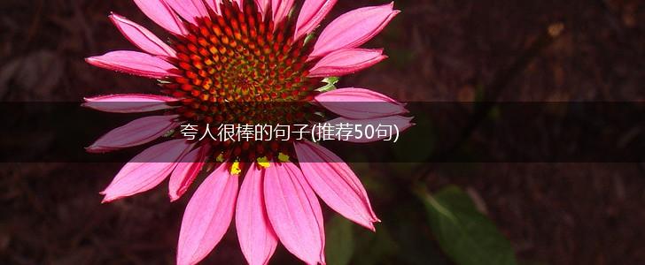 夸人很棒的句子(推荐50句),第1张