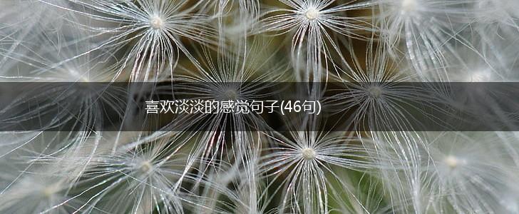 喜欢淡淡的感觉句子(46句),第1张