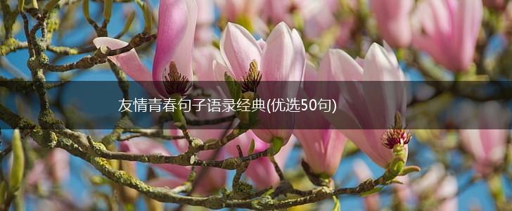 友情青春句子语录经典(优选50句),第1张