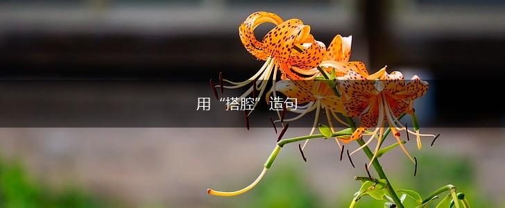 用“搭腔”造句,第1张