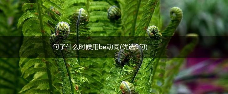 句子什么时候用be动词(优选9句),第1张