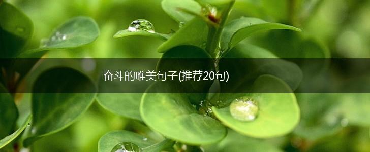 奋斗的唯美句子(推荐20句),第1张