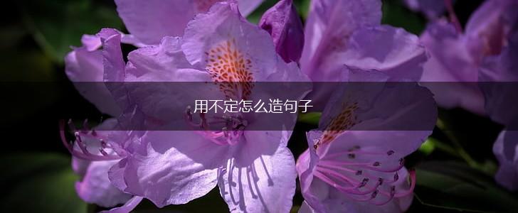 用不定怎么造句子,第1张