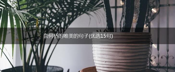 奈何桥的唯美的句子(优选15句),第1张