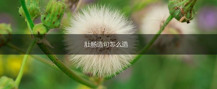 肚肠造句怎么造,第1张 肚肠造句怎么造,第1张