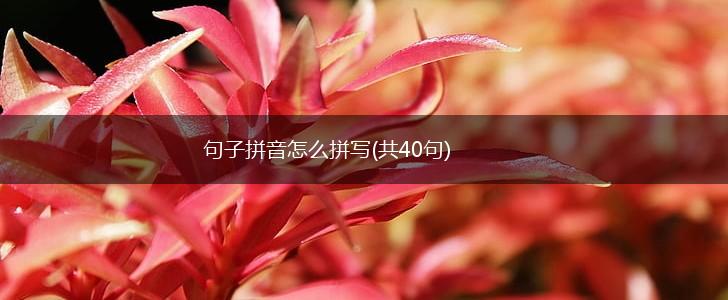 句子拼音怎么拼写(共40句),第1张
