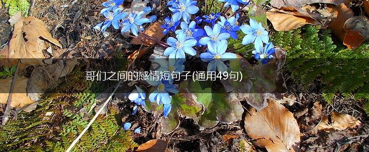 哥们之间的感情短句子(通用49句),第1张