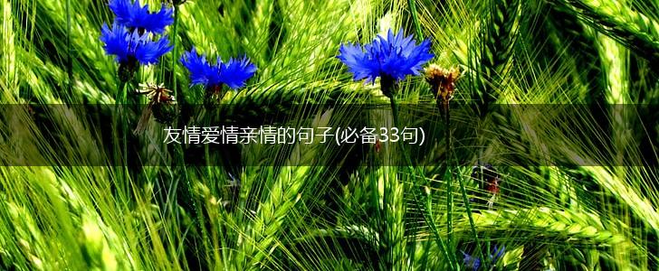 友情爱情亲情的句子(必备33句),第1张