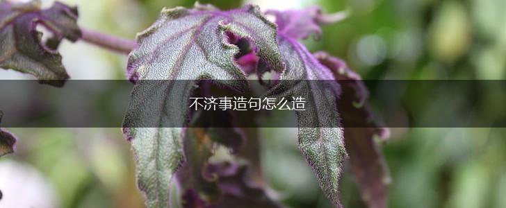 不济事造句怎么造,第1张