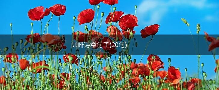 咖啡诗意句子(20句),第1张