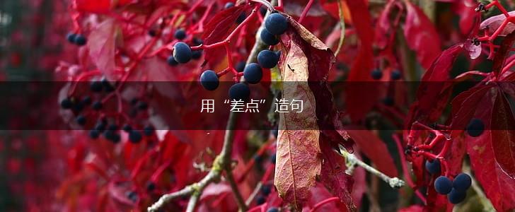 用“差点”造句,第1张