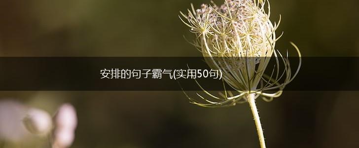 安排的句子霸气(实用50句),第1张