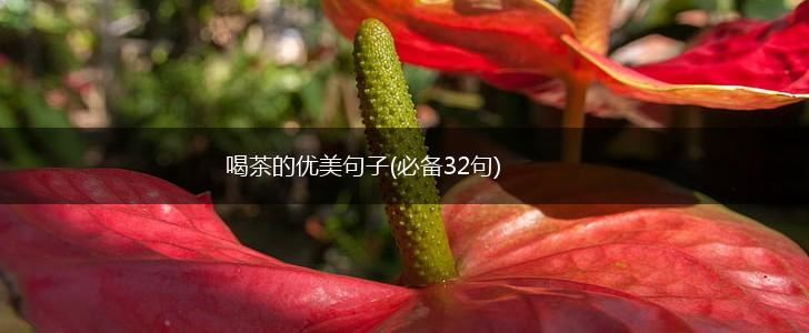 喝茶的优美句子(必备32句),第1张