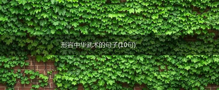 形容中华武术的句子(10句),第1张