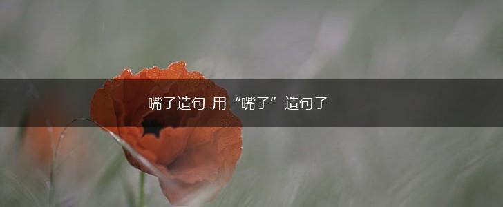 嘴子造句_用“嘴子”造句子,第1张