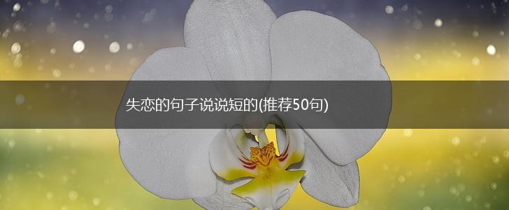 失恋的句子说说短的(推荐50句),第1张