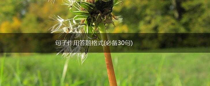句子作用答题格式(必备30句),第1张