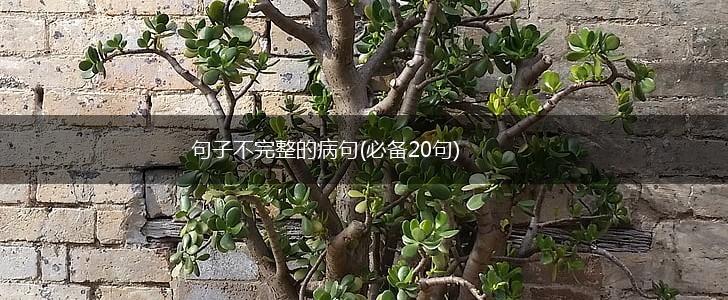句子不完整的病句(必备20句),第1张