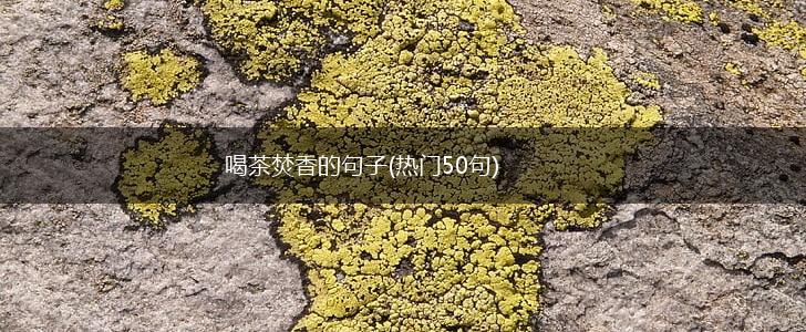喝茶焚香的句子(热门50句),第1张