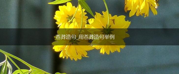 苍莽造句_用苍莽造句举例,第1张