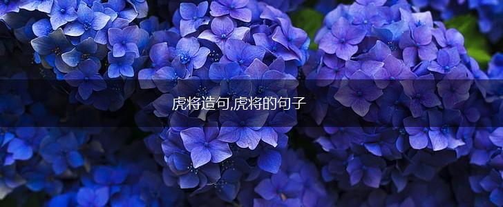 虎将造句,虎将的句子,第1张