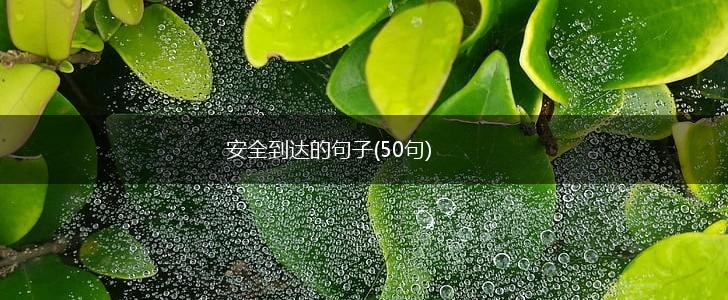 安全到达的句子(50句),第1张