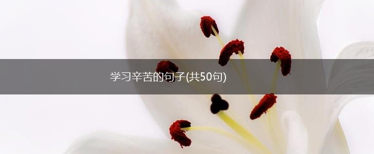 学习辛苦的句子(共50句),第1张
