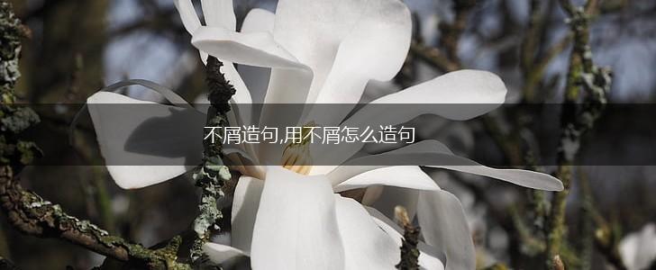 不屑造句,用不屑怎么造句,第1张