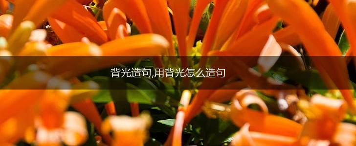 背光造句,用背光怎么造句,第1张