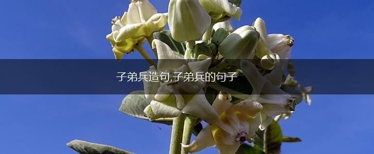 子弟兵造句,子弟兵的句子,第1张