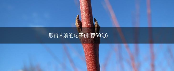 形容人浪的句子(推荐50句),第1张