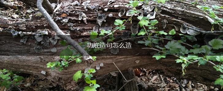 功底造句怎么造,第1张