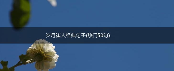 岁月崔人经典句子(热门50句),第1张