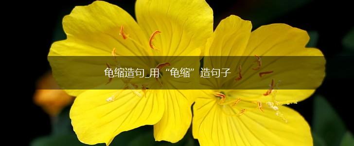龟缩造句_用“龟缩”造句子,第1张